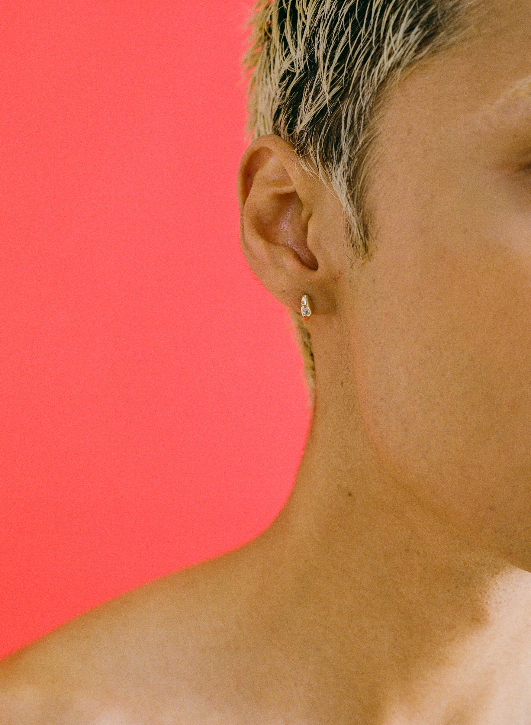 DEW Stud - Image 4